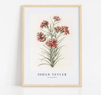 
              Johan Teyler - Six carnations
            