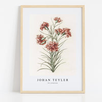 Johan Teyler - Six carnations