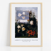 abbott handerson thayer - Flower Studies-1886