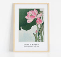 
              Ohara Koson - Blooming lotus flowers (1920 - 1930) by Ohara Koson (1877-1945)
            