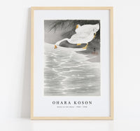 
              Ohara Koson - Geese on the shore (1900 - 1930) by Ohara Koson (1877-1945)
            