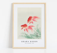 
              Ohara Koson - Two veil goldfish (1926) by Ohara Koson (1877-1945)
            