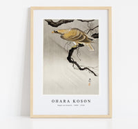 
              Ohara Koson - Eagle on branch (1900 - 1910) by Ohara Koson (1877-1945)
            