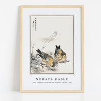 Numata Kashu - Small Japanese Greenfinch and Shepherd's Purse illustration from Pictorial Monograph of Birds (1885)