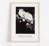 
              Ohara Koson - Two cockatoo and plum blossom (1925 - 1936) by Ohara Koson (1877-1945)
            