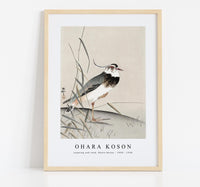 
              Ohara Koson - Lapwing and reed, Ohara Koson (1900 - 1930) by Ohara Koson (1877-1945)
            