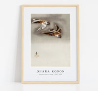 
              Ohara Koson - Ring sparrows in snow (1900 - 1930) by Ohara Koson (1877-1945)
            
