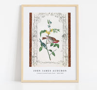 
              John James Audubon - Crimson fronted Purple Finch
            