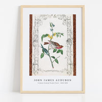 John James Audubon - Crimson fronted Purple Finch