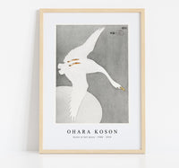 
              Ohara Koson - Goose at full moon (1900 - 1910) by Ohara Koson (1877-1945)
            