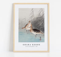 
              Ohara Koson - Two bar-tailed godwits (1926)
            