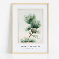 Megata Morikaga - Gayo matsu pine during 1870–1880