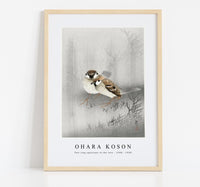 
              Ohara Koson - Two ring sparrows in the rain (1900 - 1930) by Ohara Koson (1877-1945)
            