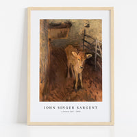 John Singer Sargent - A Jersey Calf (1893)