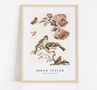 
              Johan Teyler - A Blue Tit and a Great Tit
            