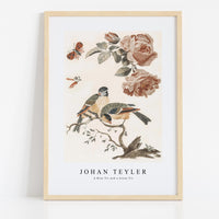 Johan Teyler - A Blue Tit and a Great Tit