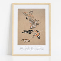 Sir Edward Burne Jones - Love leading the Pilgrim - Study of Birds Finches (1897)