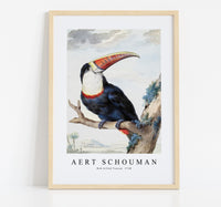 
              Aert schouman - Red-billed Toucan-1748
            