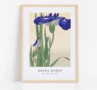 
              Ohara Koson - Blue Irises (1900 - 1930) by Ohara Koson (1877-1945)
            