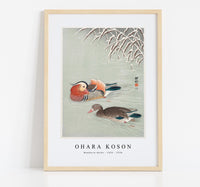 
              Ohara Koson - Mandarin ducks (1925 - 1936) by Ohara Koson (1877-1945)
            