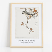 Numata Kashu - Siskin and Euonymus Alata illustration from Pictorial Monograph of Birds (1885)