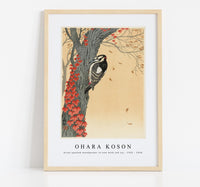 
              Ohara Koson - Great spotted woodpecker in tree with red ivy (1925 - 1936)
            