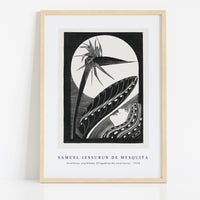 Samuel Jessurun De Mesquita - Strelitzia overblown (Uitgebloeide strelitzia) (1934)