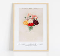
              Charles Dessalines D'Orbigny - Cabbage Rose (Rosa Centifilia)
            