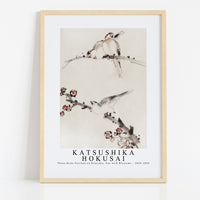 Katsushika Hokusai - Three Birds Perched on Branches, One with Blossoms 1830-1850