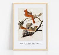 
              John James Audubon - Cardinal Grosbeak (1811)
            