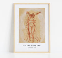 
              Pierre Bonnard - Frontal nude (1905)
            