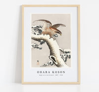 
              Ohara Koson - Eagle on a tree branch (1887 - 1930) by Ohara Koson (1877-1945)
            