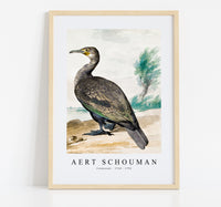 
              aert schouman - Cormorant -1720-1792
            