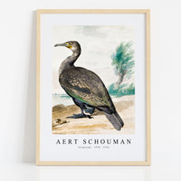 aert schouman - Cormorant -1720-1792