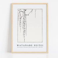 Watanabe Seitei - Tree branches. Illustration from Seitei Kacho Gafu 1890-1891