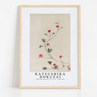 Katsushika Hokusai - Small Red Blossoms on a Vine 1830-1850