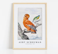 
              Aert scouman - Two Exotic Birds-1762
            