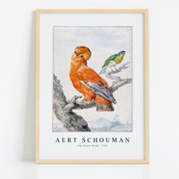 Aert scouman - Two Exotic Birds-1762