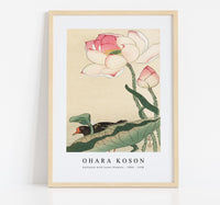 
              Ohara Koson - Gallinule with Lotus Flowers (1900 - 1930) by Ohara Koson (1877-1945)
            