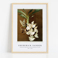 Frederick Sander - Catasetum bungerothii from Reichenbachia Orchids-1847-1920