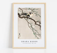 
              Ohara Koson - Tits on Cherry Branch (1900 - 1910) by Ohara Koson (1877-1945)
            