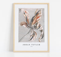 
              Johan Teyler - Tulip
            