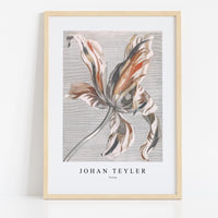 Johan Teyler - Tulip