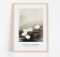 
              Ohara Koson - Chicks eating worms (1900 - 1930) by Ohara Koson (1877-1945)
            