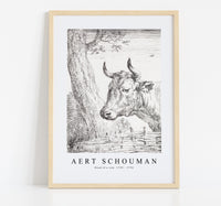 
              Aert schouman - Head of a cow-1725-1792
            