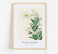 
              Ohara Koson - Lilies (1912 - 1930) by Ohara Koson (1877-1945)
            