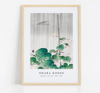 
              Ohara Koson - Begonia in the rain (1930 - 1945) by Ohara Koson (1877-1945)
            