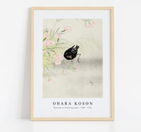 
              Ohara Koson - Moorhen at flowering plant (1900 - 1936) by Ohara Koson (1877-1945)
            