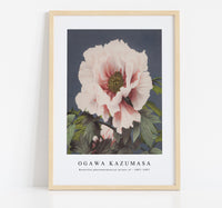 
              Ogawa Kazumasa - Beautiful photomechanical prints of (1887–1897)
            