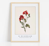 
              M. de Gijselaar - Red flower by M. de Gijselaar (1830)
            